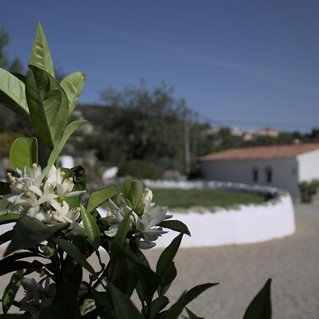 Cosy Farmhouse Quinta Da Eira 140 Years Old Loule Luaran gambar